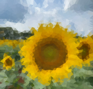 A low polygon picture of a sunflower.
